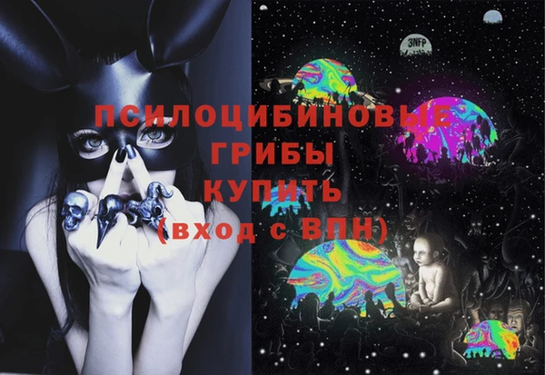 сатива Алексин