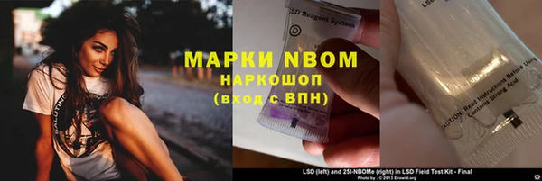 сатива Алексин