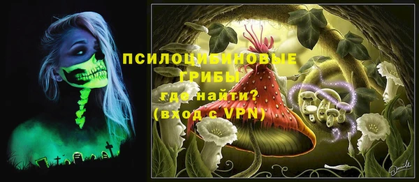 сатива Алексин