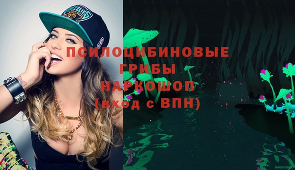 сатива Алексин