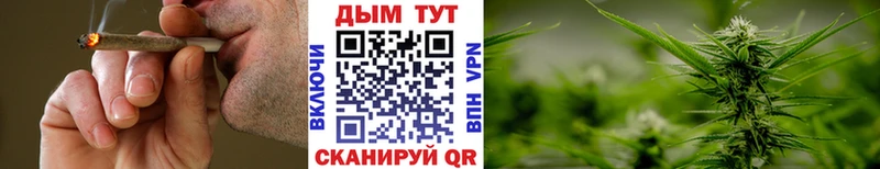 Каннабис планчик  Северская 